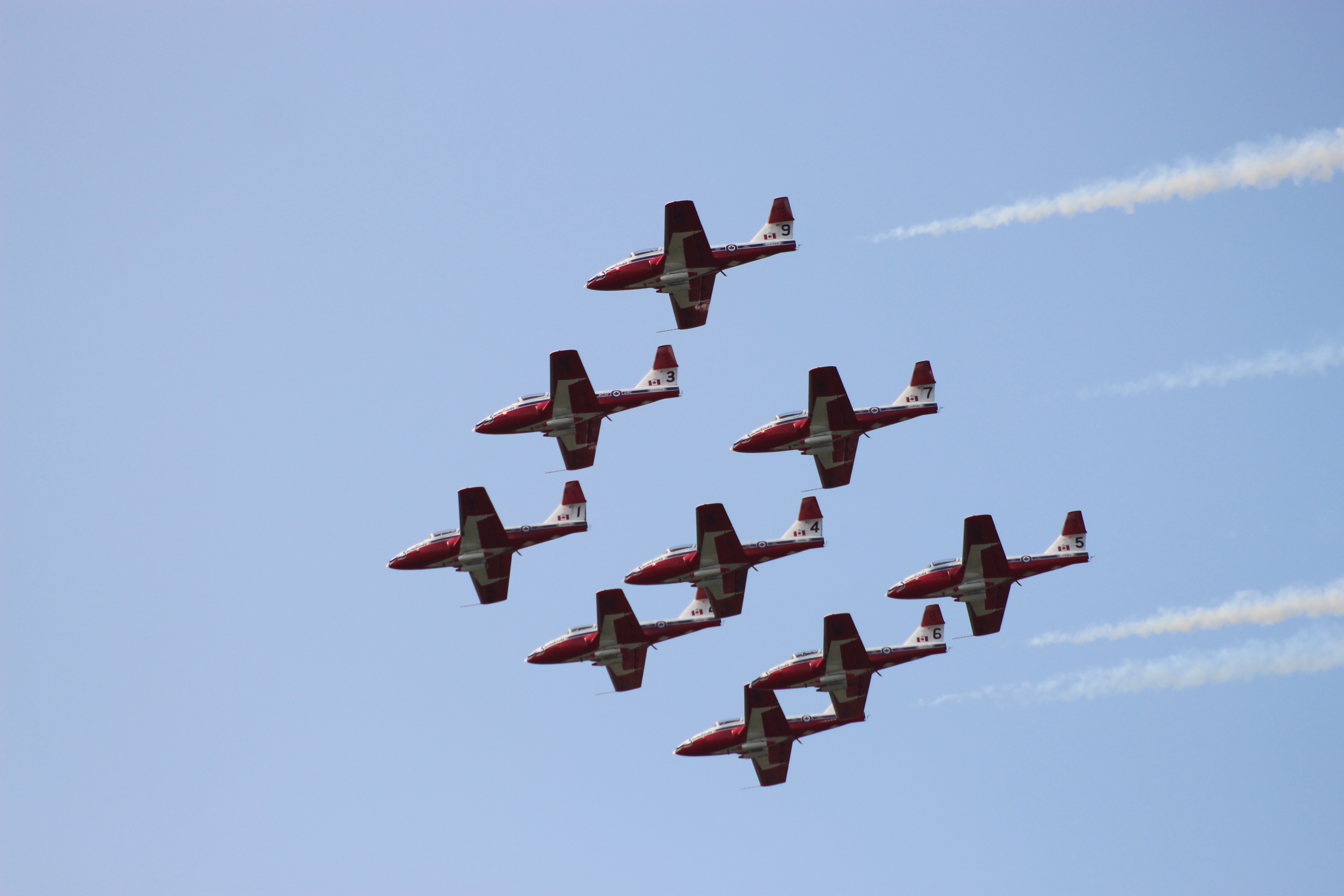 snowbirds in formation