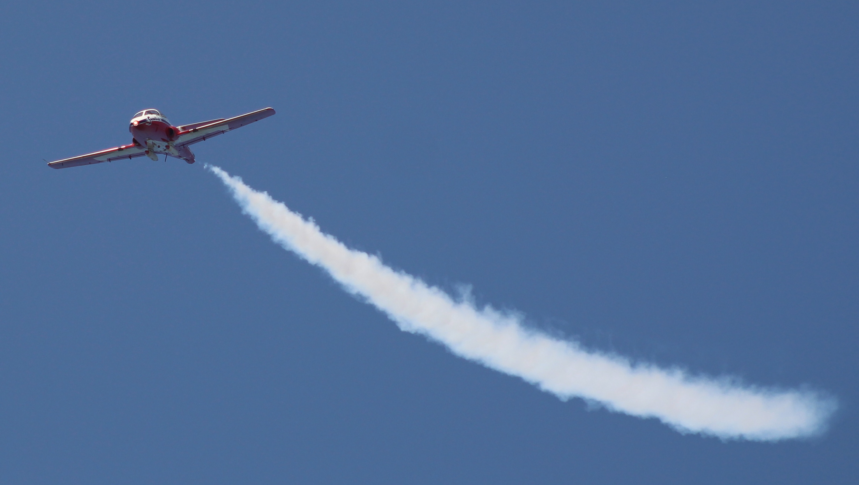 single snowbird with jet stream